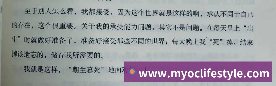 互动解说服务